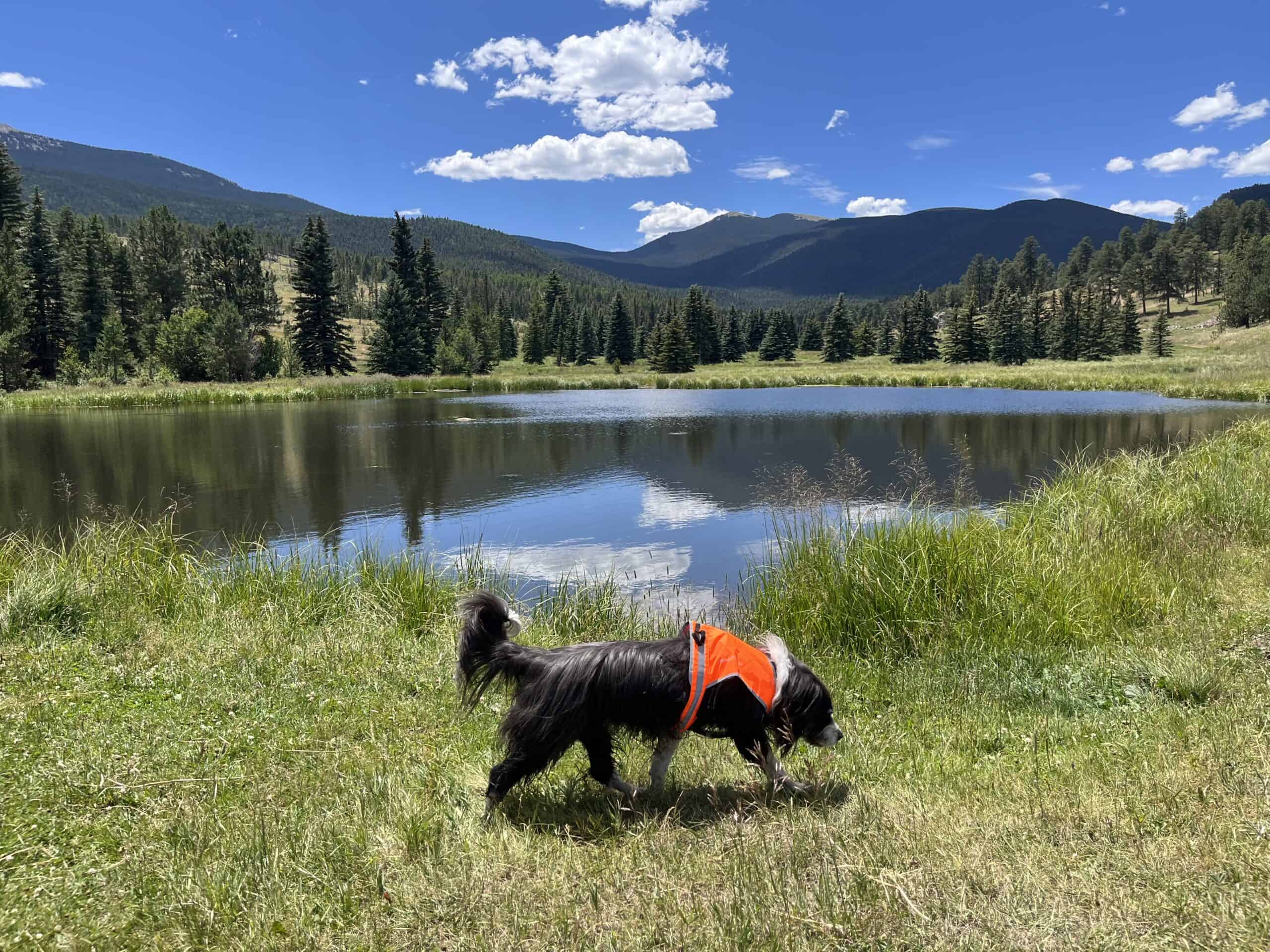 Barns Exploring Colorado Mountain Lake