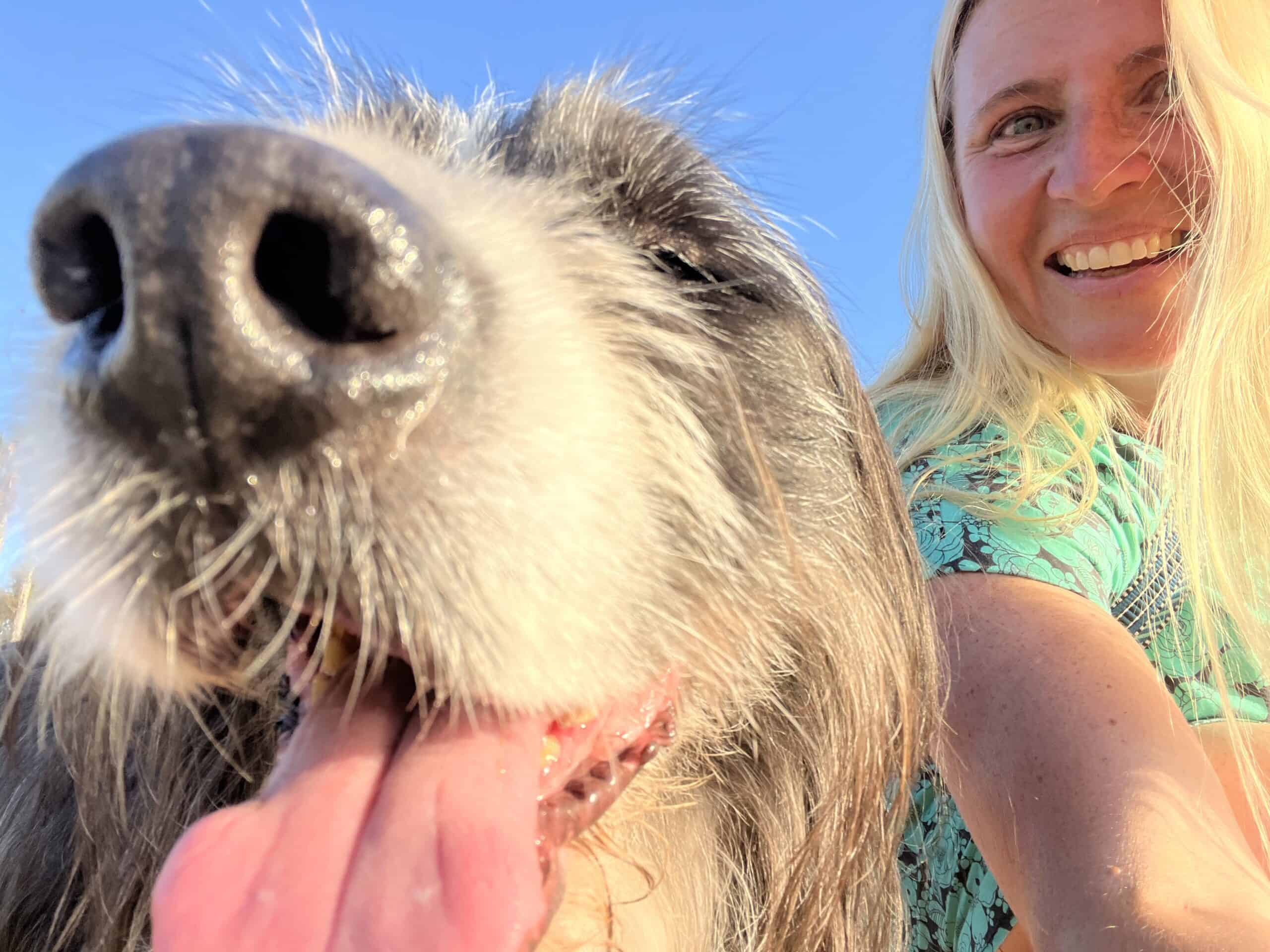 Close up selfie of me and Barns