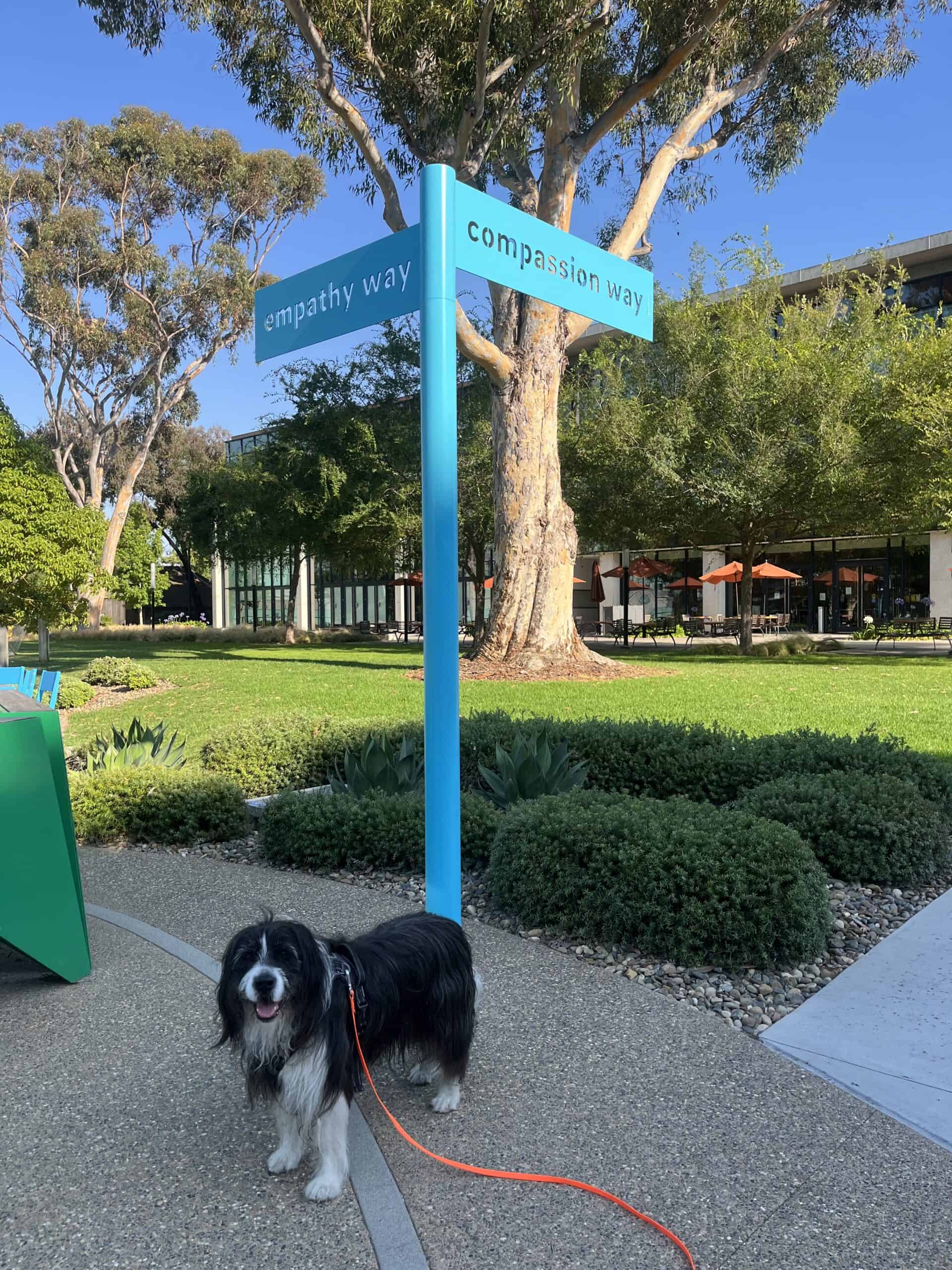 UCSD Empathy Way and Compassion Way intersection