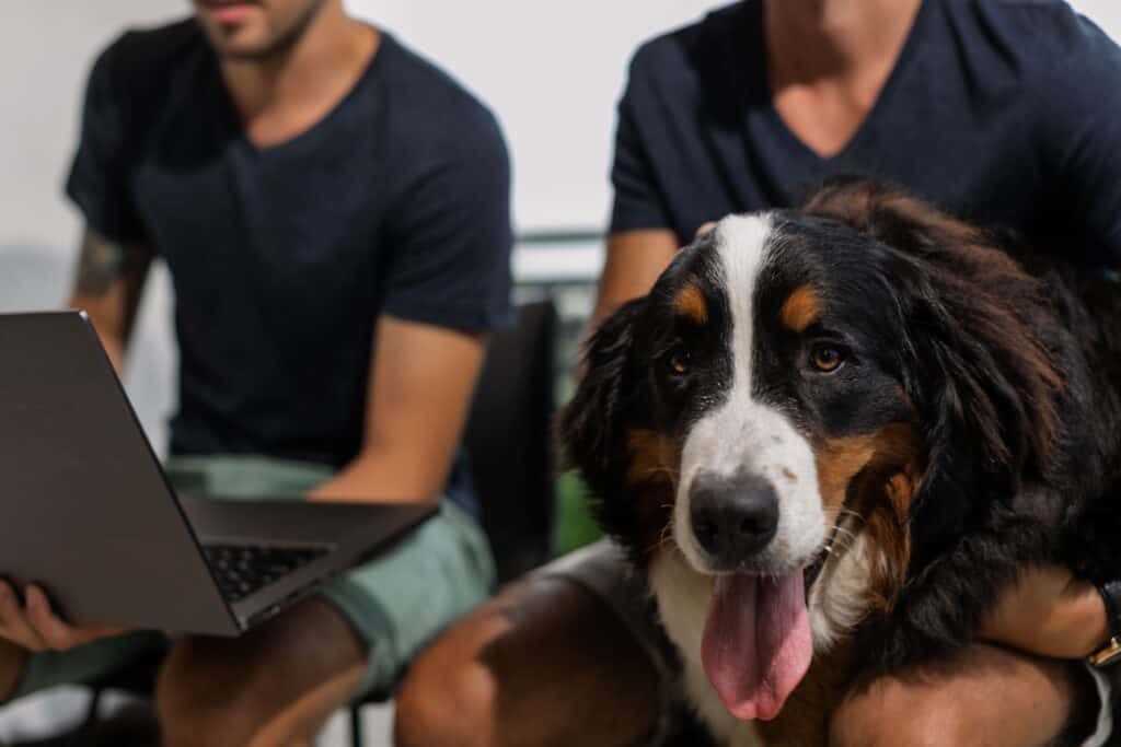 dog hanging with its people on computer