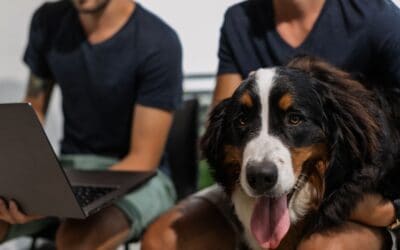 Why I work online, and why you should love it