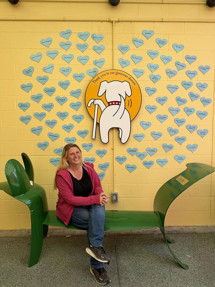 Lindsay Dellas at Muttville Senior Dgo rescue