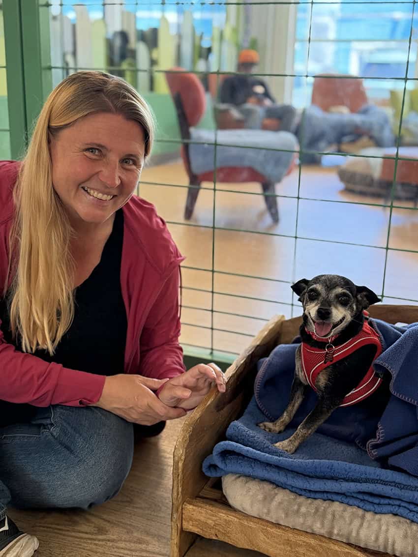 Lindsay from Good Dog Happy Dog Senior Dog Support package session