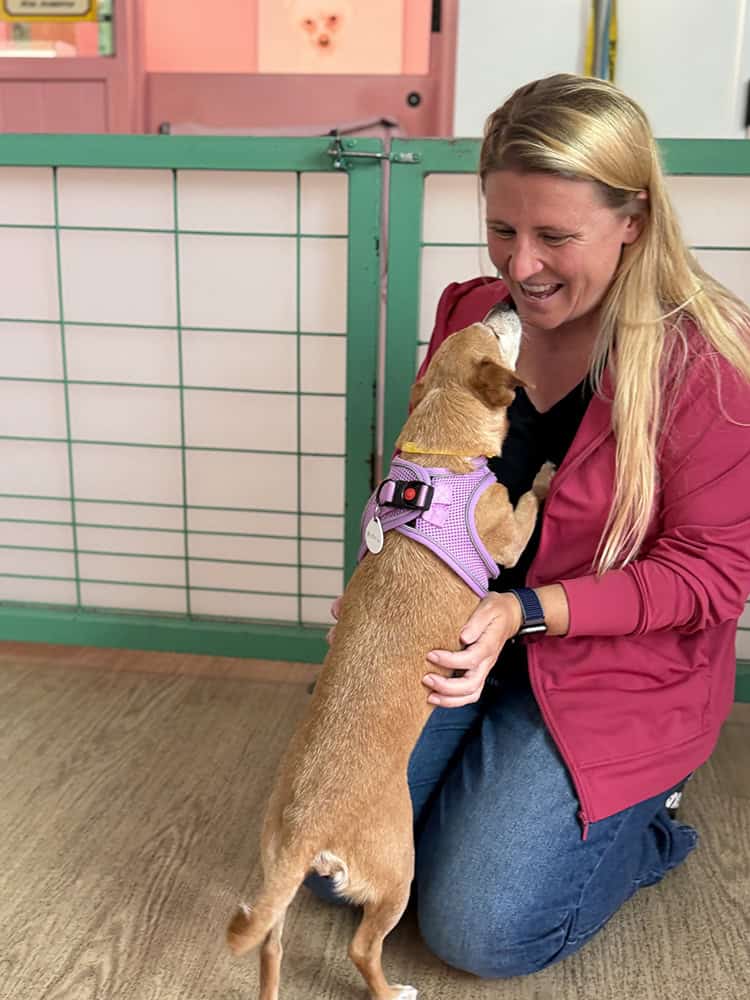 Lindsay getting a cuddle from a senior dog
