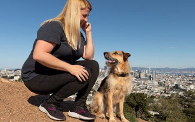 What’s the difference between a dog trainer and a dog behavior consultant?