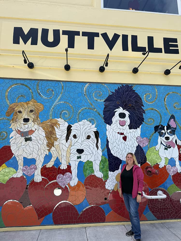 Muttville Senior Dog rescue San Francisco
